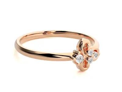 Women ring 3D print model