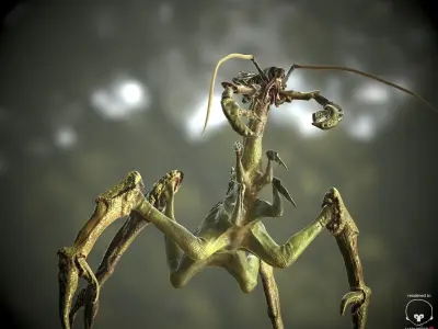 Alien Lizard Crab Game Model Low-poly 3D model