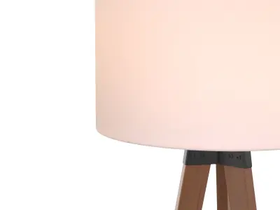 Cameo Floor Lamp FLL4102A 3D model