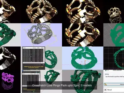 Crosshatch Luxe Rings 5gm 3D Model Pack