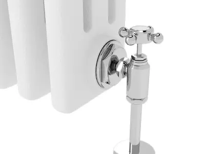 Traditional Radiator 3D model