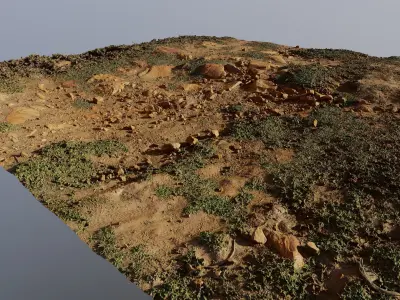 Scangrassandstone01 3D model