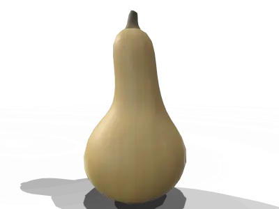 Squash Butternut
