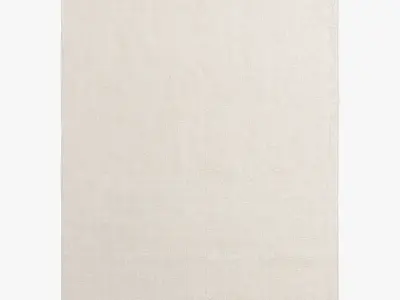 Restoration Hardware Rugs 71 3D model