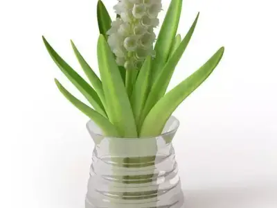 Flowering Plant 3D model