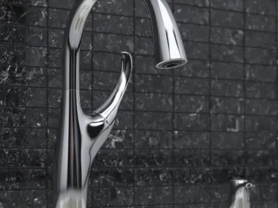 Kitchen faucet and sink KOHLER 3D model