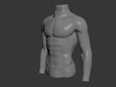 Male Mannequin Torso 3D model