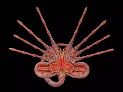Facehugger Pbr Low-poly 3D model