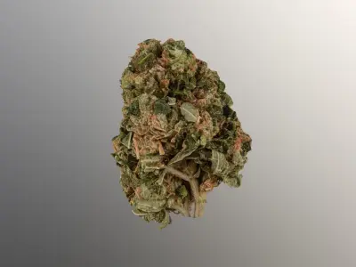 Marijuana Flower 3 3D model