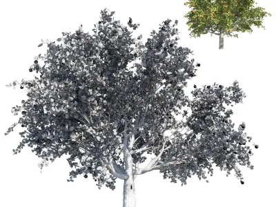Apple tree 01 3D model