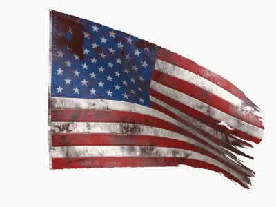 US Flag 50 Stars 1960-Today Low-poly 3D model