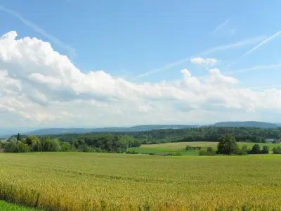 Front elevation Villa  Low-poly 3D model