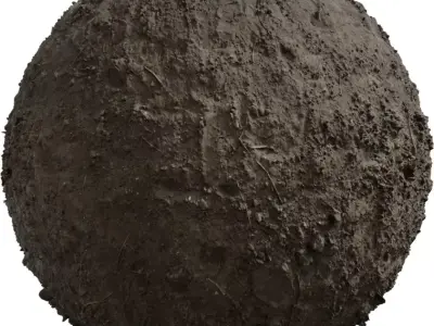 Compacted Muddy Soil with Twigs Texture