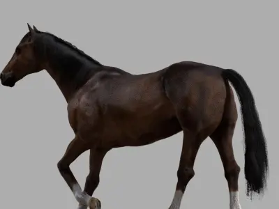  Brown Horse (Rigged) (Fur) 