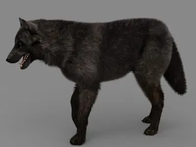 WOLF rigged character 3D model
