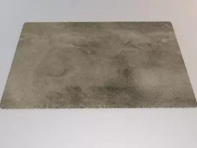 Floor Rug 3D model