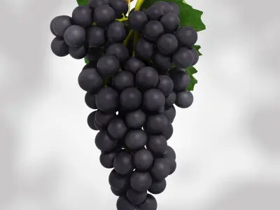 Grapes Black and Blue Low-poly 3D model