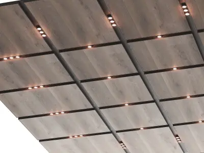 Wooden suspended ceiling with lighting 48 3D model