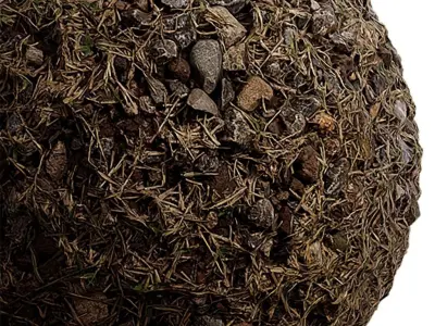 Gravel Seamless Texture 2K - EXR 5 - JPG 5 Texture Texture