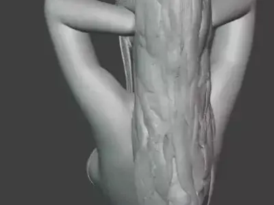 Regal Fantasy Woman Free 3D print model