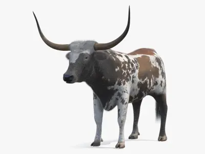  Farm Animals Big Collection 5 