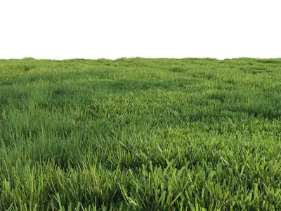 Grass for landscape 3D model