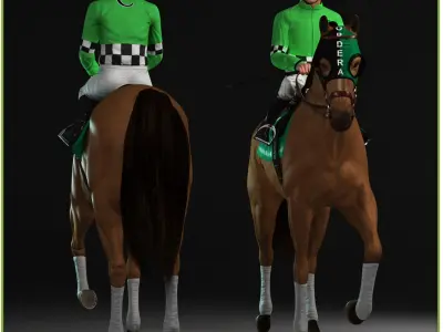  Racehorse and Jockey 