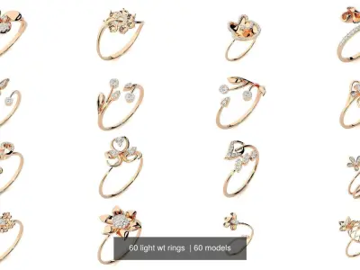 60 light wt rings  3D Model Pack