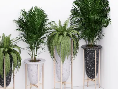 Palm and fern corner 3D model