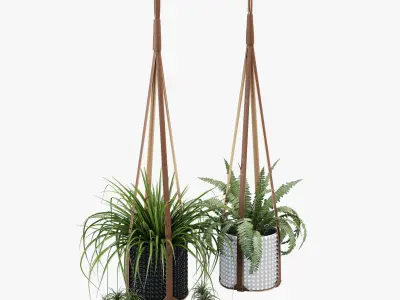 Corium Plant Hanger 3D model