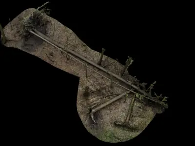 Fallen tree 3D model