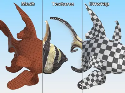  Coral Fish Collection 4 Rigged for Maya 