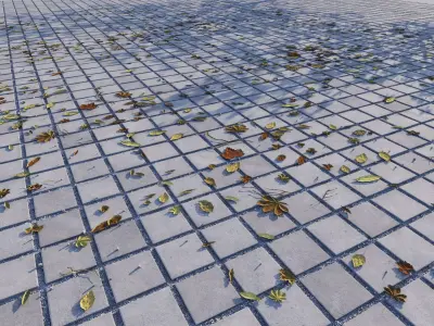 Leaves from Pavements vol01 8K Seamless PBR Materials Texture