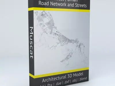 Muscat Area Road Network and Streets 3D model