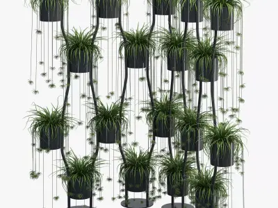 Para vert two 3D model