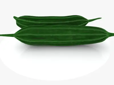 Ridge Gourd Low-poly 3D model