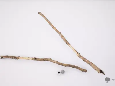 Wood stick 005 - Photogrammetry Low-poly 3D model