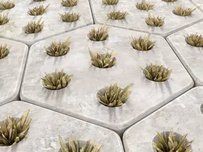 Paving hexagon  grass 3D model
