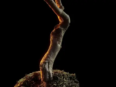 Treebark06scan dead tree 3D model