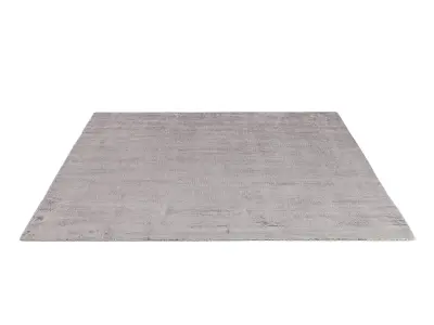 ROSHAN SILK RUG 3D model