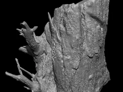Tree Stump - High Poly Sculpt 3D model