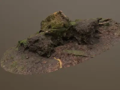 Fallen Tree Trunk Low-poly 3D model