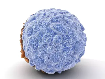 Natural Pebble Surface model pack Texture