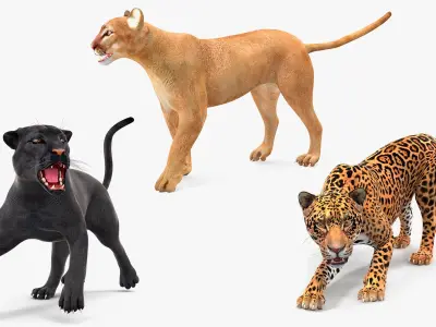  Big Cats Rigged Collection for Maya 