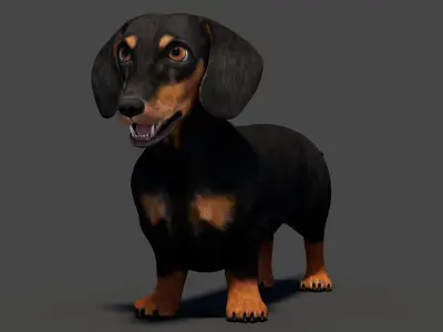  Black Dachshund Dog 