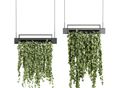 7 Ivy plant 3D models 3D Model Pack