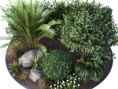 Group of outdoor Trees- Plants 3D model