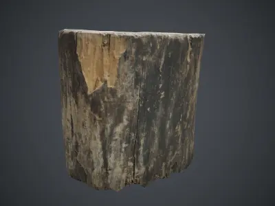 Wood Stump 1 PBR Game Ready Low-poly 3D model