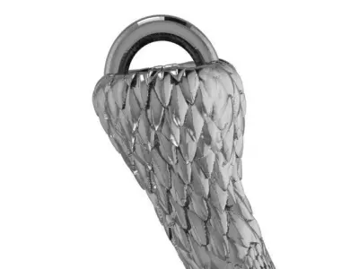 Eagle claw 3D print model