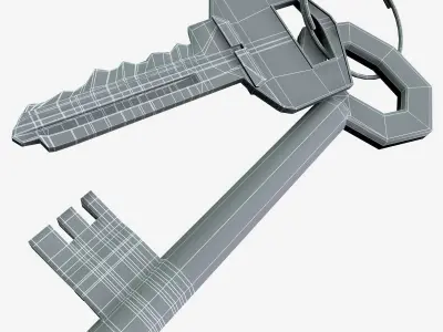 Two Keys 3D model